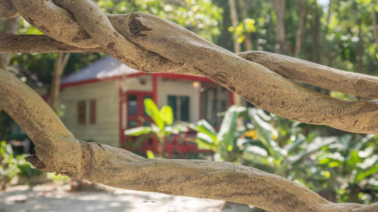 Sarasea Koh Rong Samloem Otel Koh Rong Sanloem Dış mekan fotoğraf